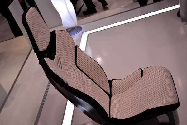 130111 tas 4 DSC_0425.jpg